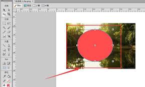 Fireworks如何只显示图片部分