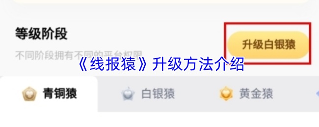 《线报猿》升级方法介绍