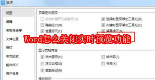 Word如何启用实时预览功能