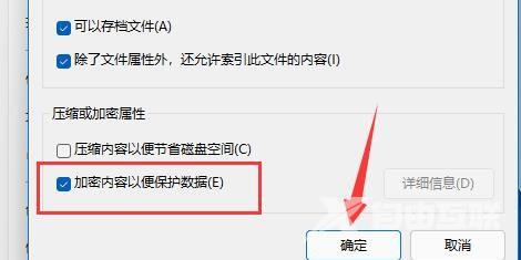 win11系统如何加密wps文档？win11加密wps文档的方法
