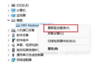 win11笔记本无法连接键盘怎么办?win11无法连接键盘解决方法