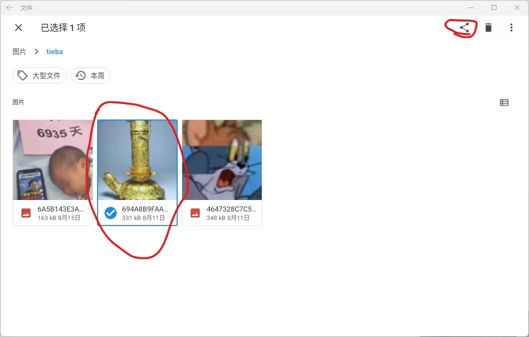 Win11安卓子系统怎么导出文件？Win11安卓子系统导出文件的方法