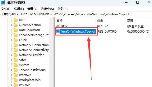 Win11如何彻底关闭Windows Copilot?关闭Windows Copilot的方法