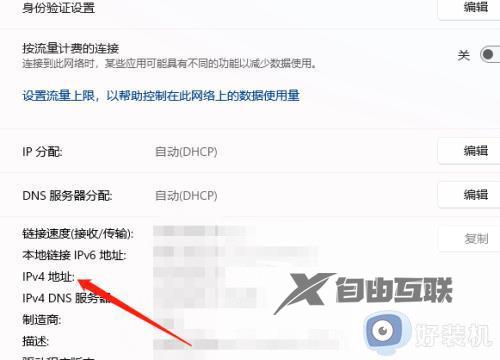 win11查ip的步骤_电脑ip地址在哪里看win11