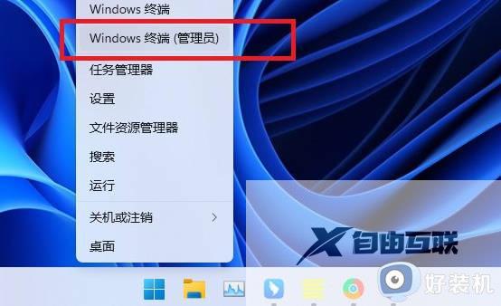 win11没有托盘图标为什么_win11不显示托盘图标的解决方法