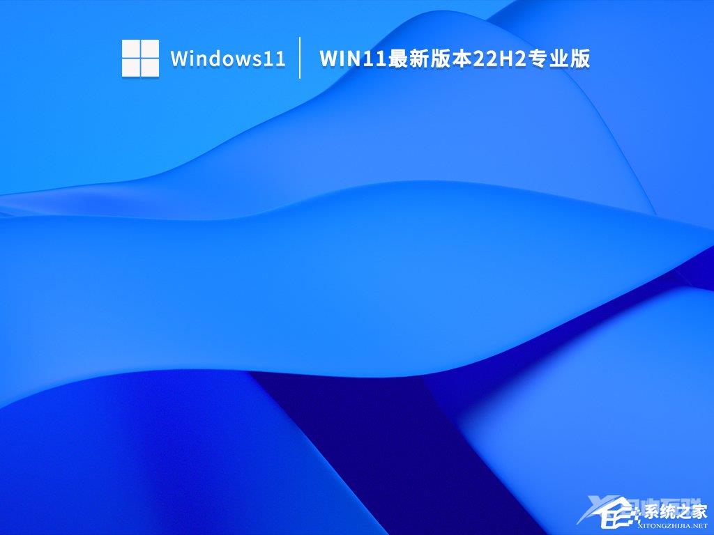 Win11安装选哪个版本?