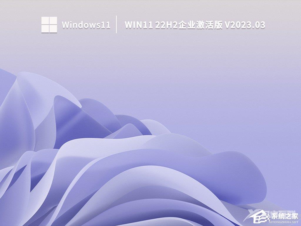 Win11安装选哪个版本?