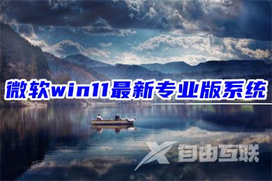 微软win11最新专业版系统