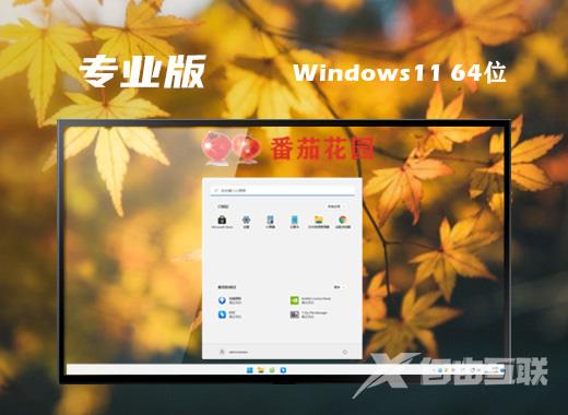 微软win11最新专业版系统下载 win11系统镜像文件下载 微软win11最新专业版系统下载 win11系统镜像文件下载