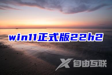 win11正式版22h2 win11系统原版iso下载 win11正式版22h2 win11系统原版iso下载