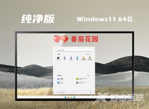 正版windows11官网系统下载 windows11中文64位系统下载