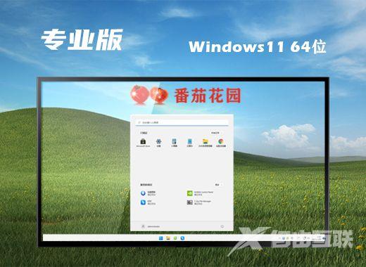 win11原版镜像下载 微软官网win11下载iso