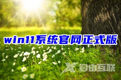 win11系统官网正式版下载 电脑win11系统64位最新版下载 win11系统官网正式版下载 电脑win11系统64位最新版下载