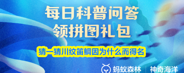 猜一猜川纹笛鲷因为什么而得名