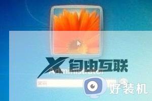 windows11忘记账户密码怎么办 windows11忘记账户密码的处理方法
