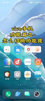 vivo手机如何隐藏桌面游戏功能设置