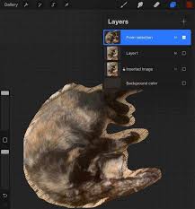 procreate如何改变背景颜色