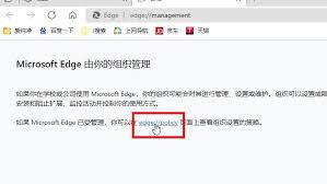 Edge浏览器怎么显示内联释义