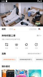 追番达人app如何进行投屏