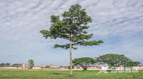 建议收藏，五个Python迷你项目(附源码)