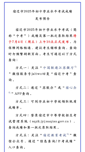 宿心办如何查询中考成绩