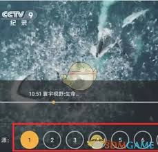 hdp直播如何调整清晰度