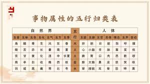 易学酷如何查看分类