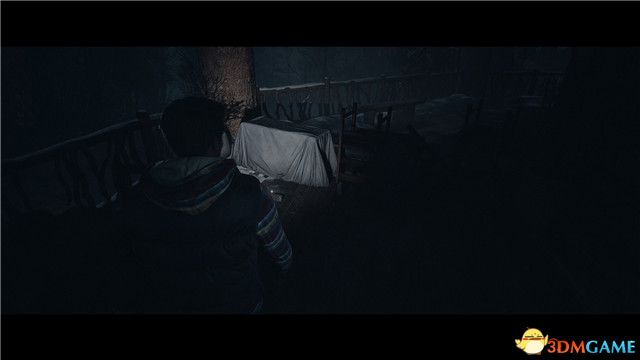 《直到黎明》图文全剧情流程攻略 全收集完美结局攻略