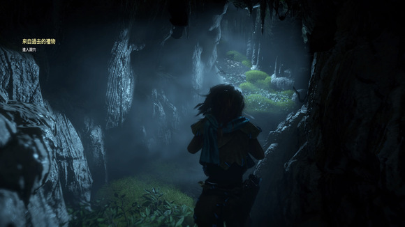 《地平线：黎明时分》图文全攻略 全支线任务全收集攻略