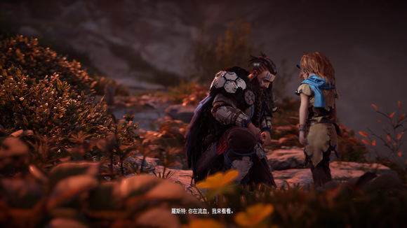 《地平线：黎明时分》图文全攻略 全支线任务全收集攻略