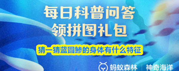 猜一猜蓝圆鲹的身体有什么特征