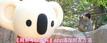 考拉海购如何添加好友