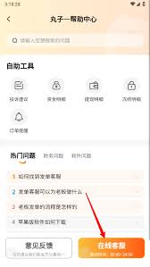 代练丸子如何切换成打手模式