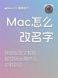 特斯拉app如何修改名称