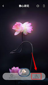 哇叽壁纸如何设置锁屏壁纸