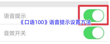 口语100无法录音如何解决