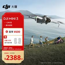 陆地大疆是什么