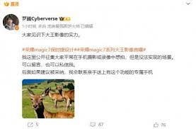 荣耀手机拍照能力如何