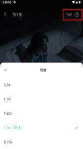 大鱼短剧如何看剧