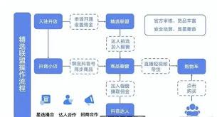 产品怎样入驻抖音精选联盟