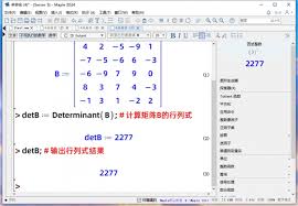 Maple如何计算方形矩阵实例解析