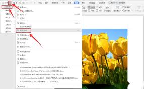 如何快速导出word文档中的全部图片