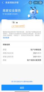 支付宝举报违章功能在哪里