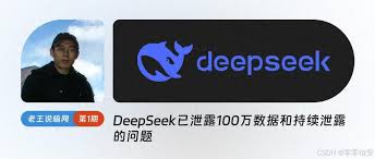 deepSeek在线服务是否会导致数据泄露