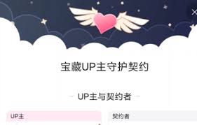 哔哩哔哩契约者是什么