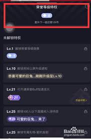 抖音怎么设置隐藏等级