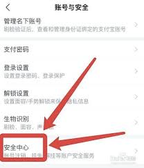 支付宝安全锁夜间保护如何开启