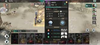 三国天下归心国家队如何搭配