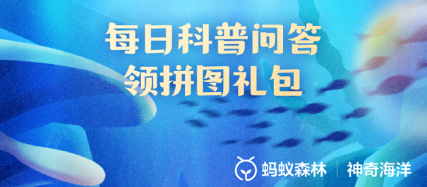 猜一猜圆翅燕鱼的幼鱼会模仿什么