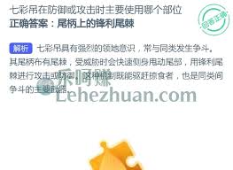 七彩吊防御或攻击时主要用哪个部位